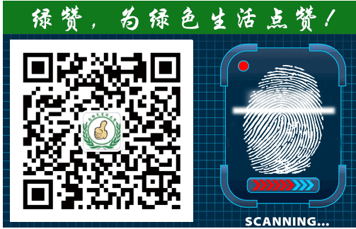 室内环境净化治理与环保咨询服务 构建健康生活空间的全面指南